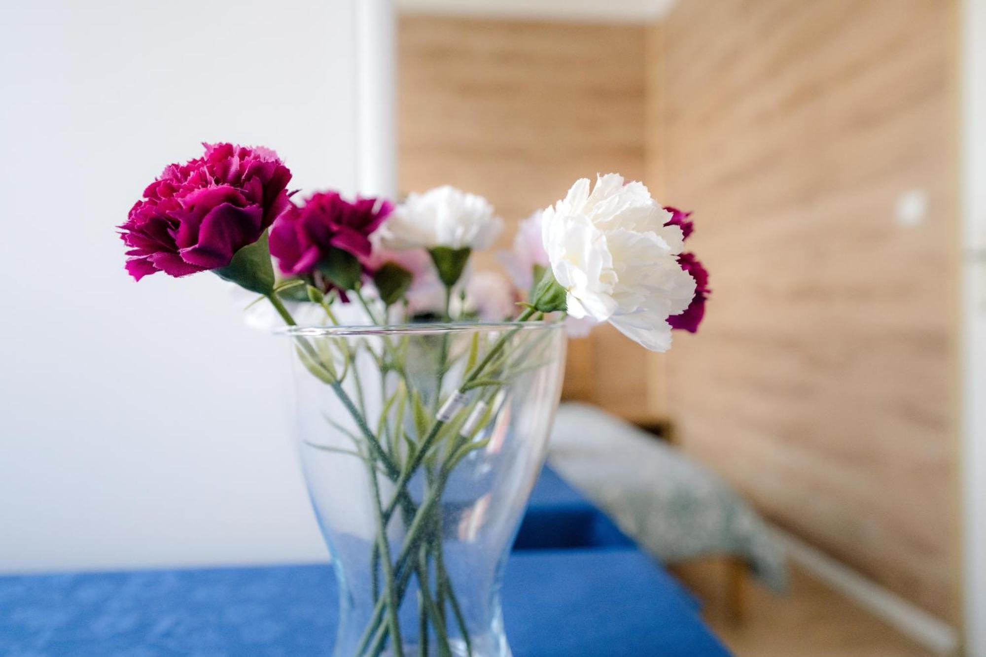 Cosy Balcony Apartment Grudziądz Екстериор снимка